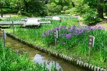 hanasyobu_250527_06