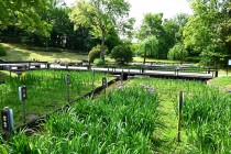 hanasyobu_250527_07