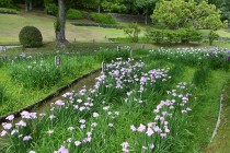 hanasyobu_250604_06
