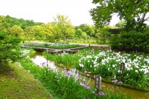 hanasyobu_250611_02