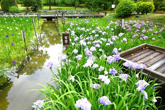 hanasyobu_250611_04