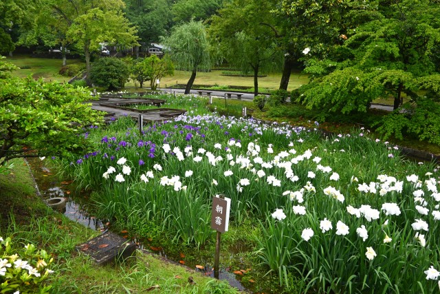 hanasyobu_250611_06