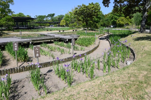 hanasyobu_260520_03