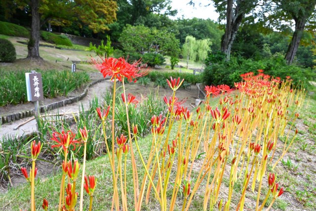 higan_nihonteien_251003_01