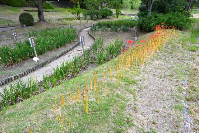 higan_nihonteien_251003_02