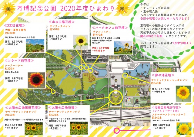 ヒマワリ 年 更新終了しました 万博記念公園