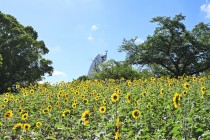 himawari_220629_04