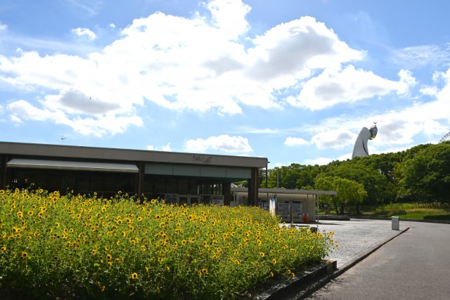 himawari_260826_01