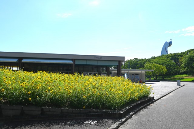 himawari_260902_01