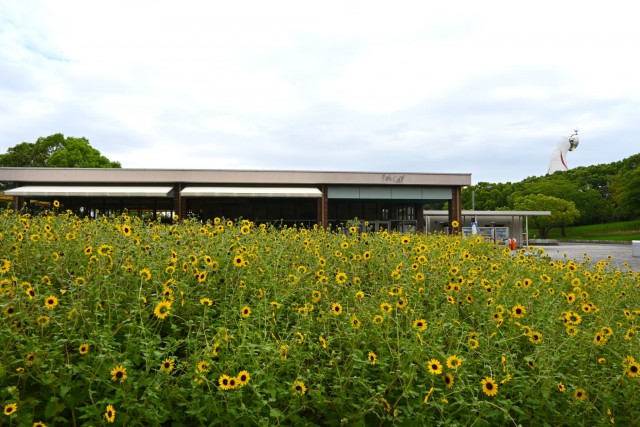 himawari_260912_01