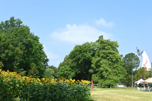 himawari_sekainomori_260721_07