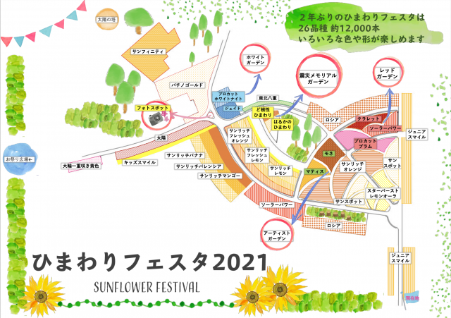 万博記念公園 ひまわりフェスタ 万博記念公園 万博記念公園 ひまわりフェスタ 万博記念公園
