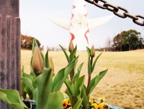 icetulip_210108_04