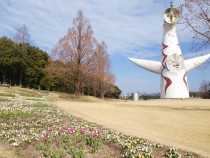 icetulip_210202_03