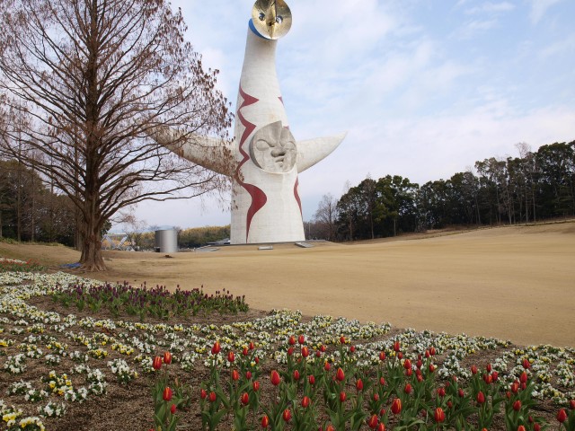 icetulip_210205_01