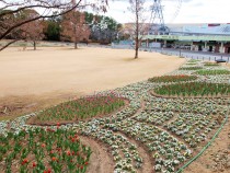 icetulip_210209_02