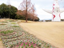 icetulip_210209_04
