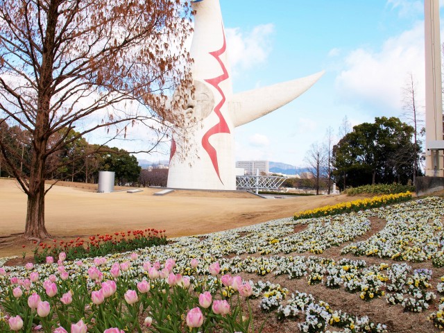 アイスチューリップ 21年 更新終了しました 万博記念公園