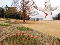 icetulip_220120_05