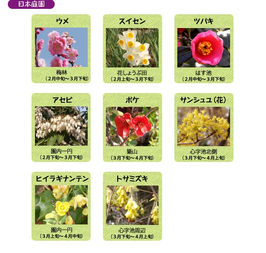 万博記念公園　日本庭園　3月の見ごろの花