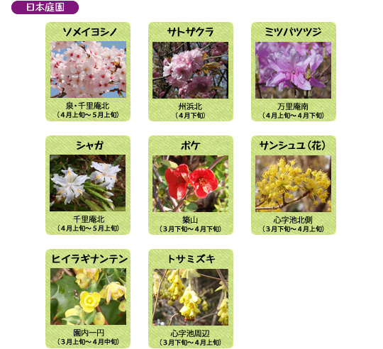 万博記念公園　日本庭園　4月の見ごろの花