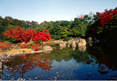 日本庭園 万博記念公園 日本庭園 万博記念公園