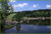 Japanese Garden