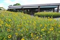 kadan_aporon_250909_03