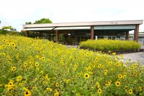 kadan_aporon_250926_02