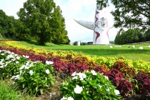 kadan_colius_250814_02