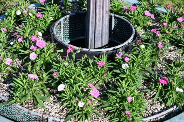 kadan_diansus_251023_01