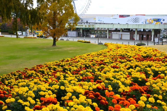 kadan_hiroba_251119_04