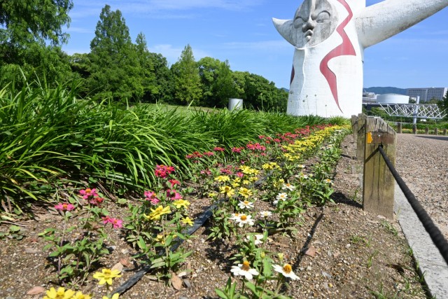 kadan_jinia_sokudo_260611_01