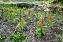 kadan_keito_250916_03