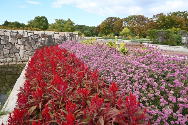 kadan_keito_251029_01