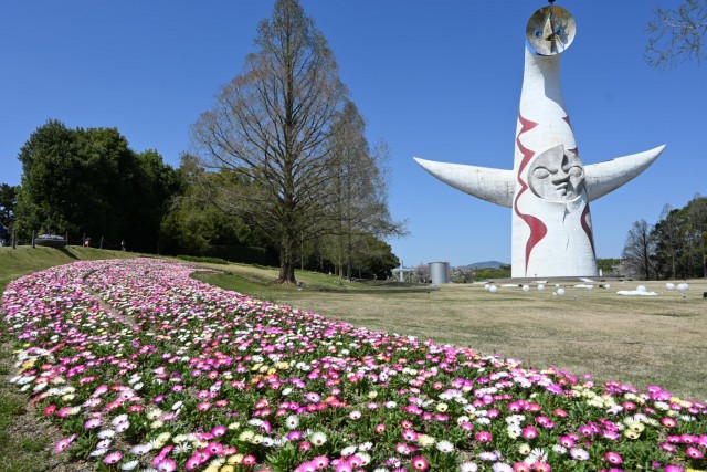 kadan_livingstone_260408_01