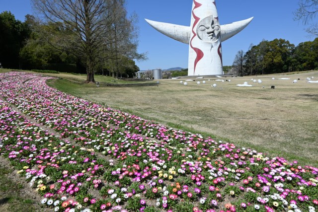 kadan_livingstone_260408_03