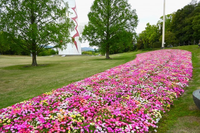 kadan_livingstone_260422_01