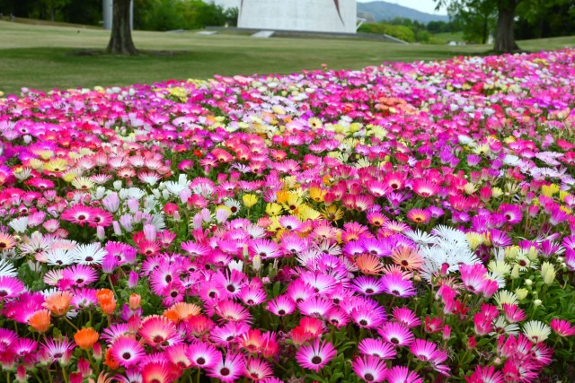 kadan_livingstone_260422_02