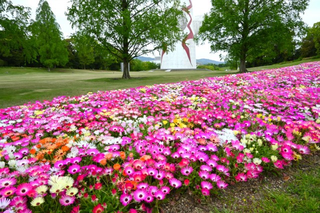 kadan_livingstone_260422_03