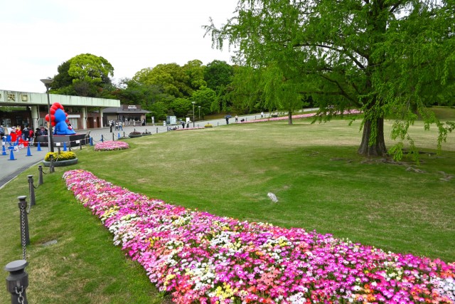 kadan_livingstone_260422_05