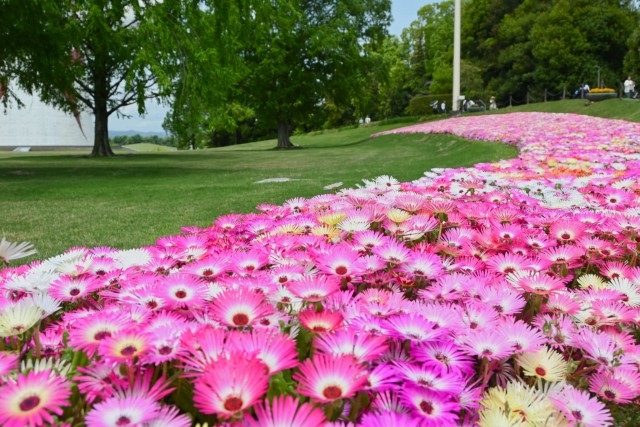 kadan_livingstone_260429_02