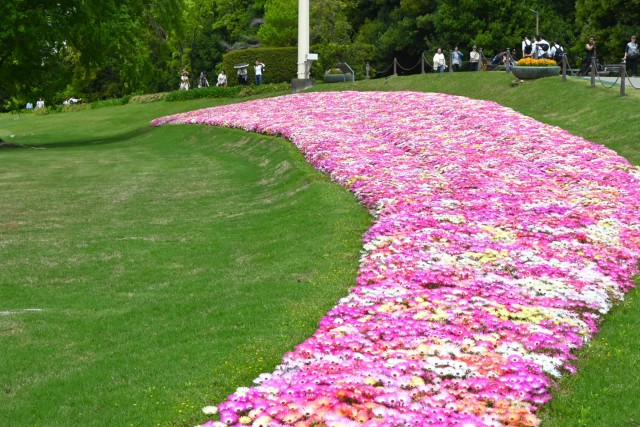 kadan_livingstone_260429_04