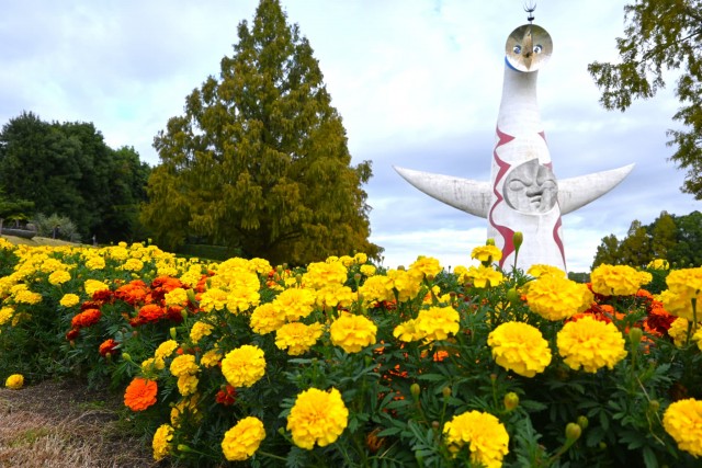 kadan_mary_251106_03