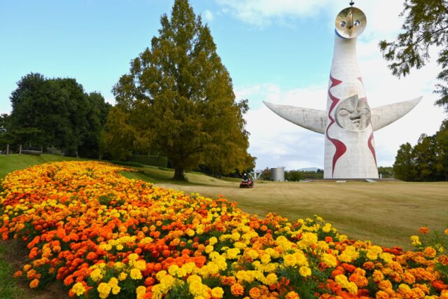 kadan_mary_hiroba_261028_01