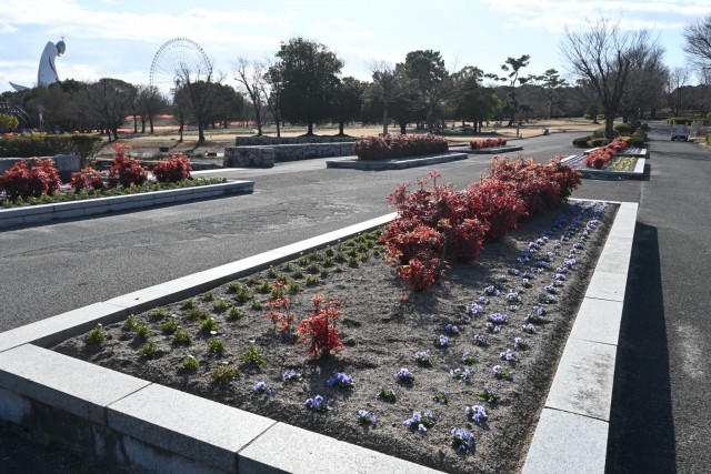 kadan_mizunohiroba_260114_01