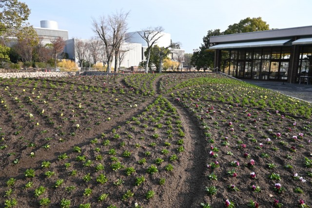 kadan_parkcafe_251217_01