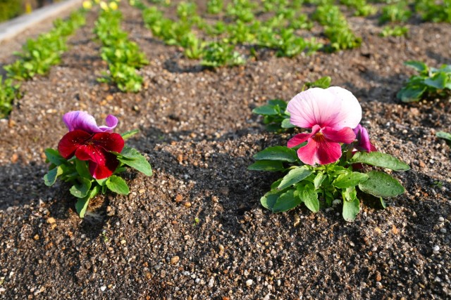 kadan_parkcafe_251217_02