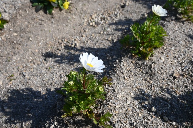 kadan_parkcafe_260114_02