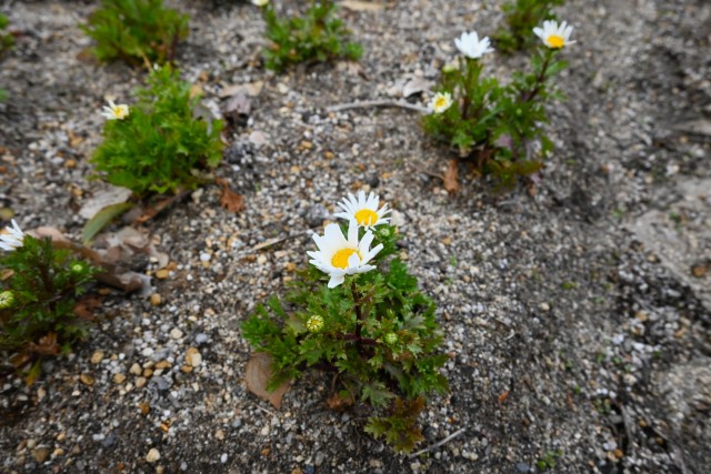 kadan_parkcafe_260128_02